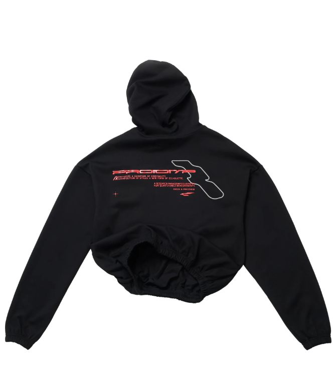 PROTOTYP - PTP-25A-TH-001 ACCELERATION ECU Hoodie