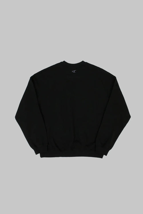 ANONYMOUS TALKING F25-LS03 Selection Sweatshirt