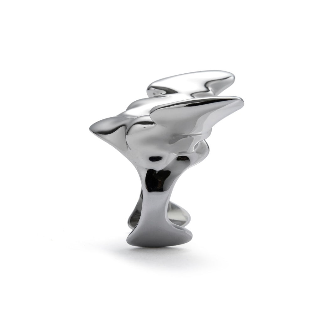 Fe3c -  Angel Wing Ring