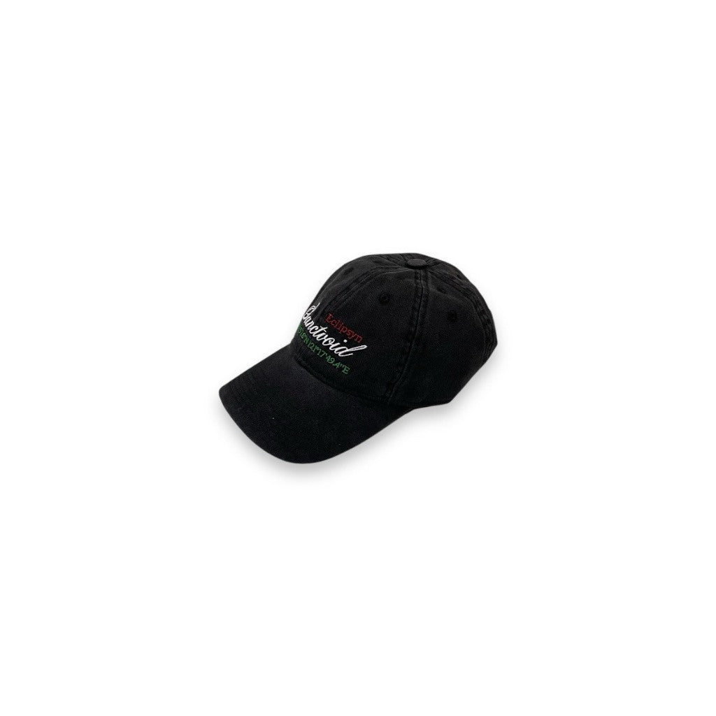 29offeb - 24AW “Sanctvoid” Coordinates Cap